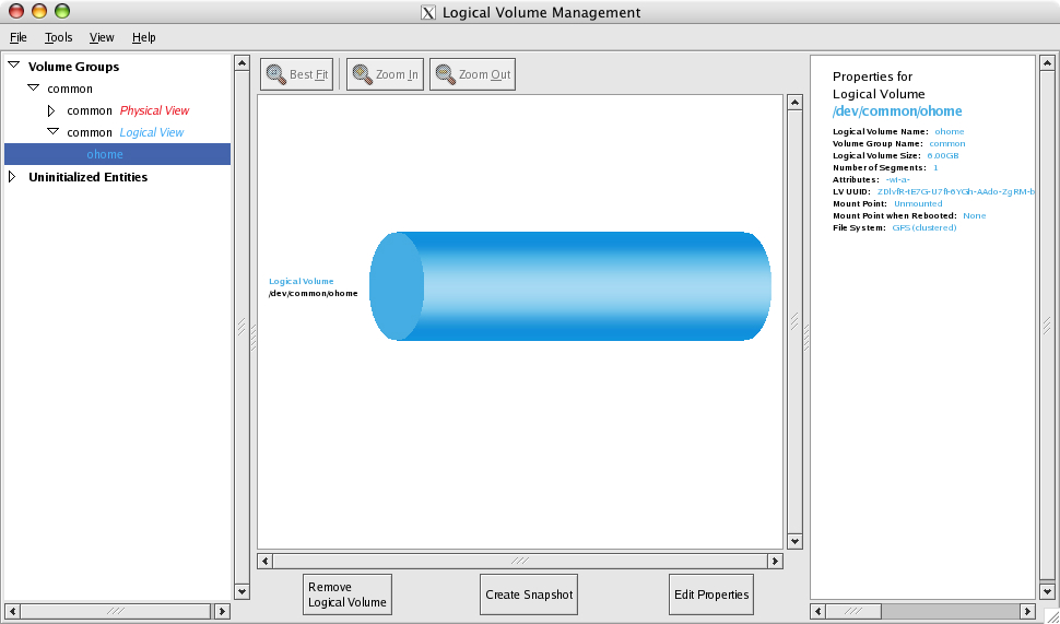 Logical Volume Management window: Logical view of ohome